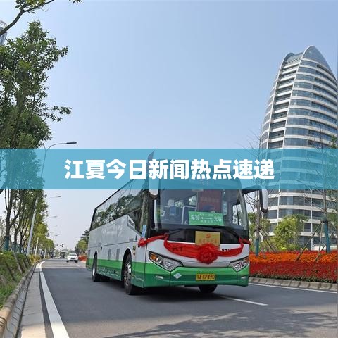 江夏今日新聞熱點速遞