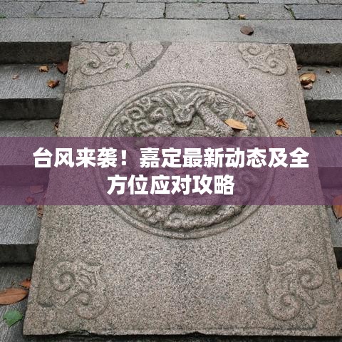 臺風(fēng)來襲！嘉定最新動態(tài)及全方位應(yīng)對攻略