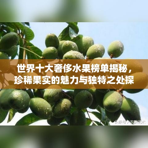 世界十大奢侈水果榜單揭秘，珍稀果實的魅力與獨特之處探究