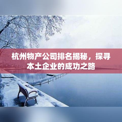 杭州物產(chǎn)公司排名揭秘，探尋本土企業(yè)的成功之路