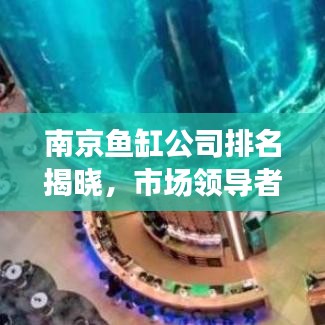 南京魚缸公司排名揭曉，市場領(lǐng)導者與優(yōu)質(zhì)選擇深度解讀