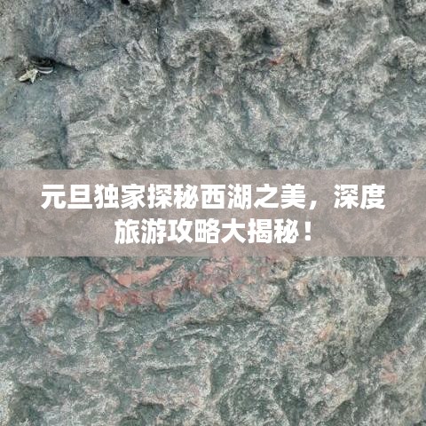 元旦獨家探秘西湖之美，深度旅游攻略大揭秘！