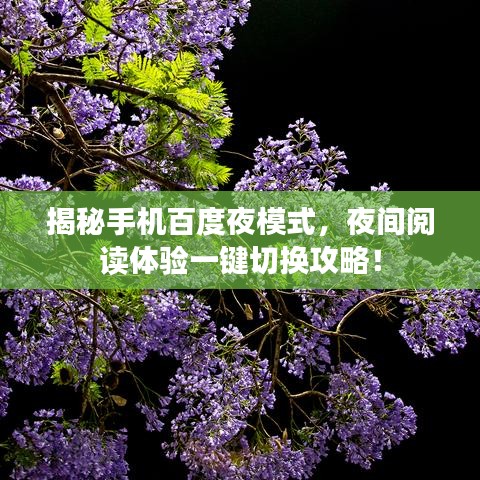 揭秘手機(jī)百度夜模式，夜間閱讀體驗(yàn)一鍵切換攻略！