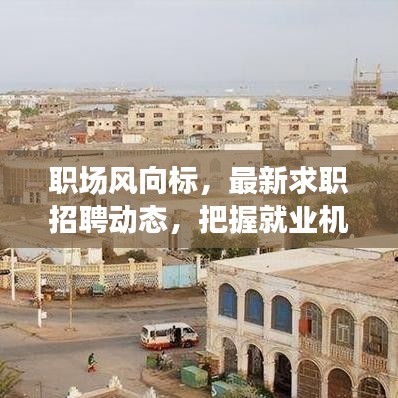 職場風(fēng)向標(biāo)，最新求職招聘動(dòng)態(tài)，把握就業(yè)機(jī)會(huì)，洞悉職場趨勢