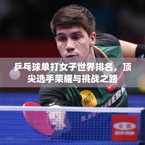 射飛逐走 第3頁(yè)