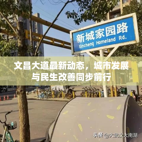 文昌大道最新動態(tài)，城市發(fā)展與民生改善同步前行