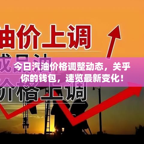 今日汽油價(jià)格調(diào)整動(dòng)態(tài)，關(guān)乎你的錢包，速覽最新變化！