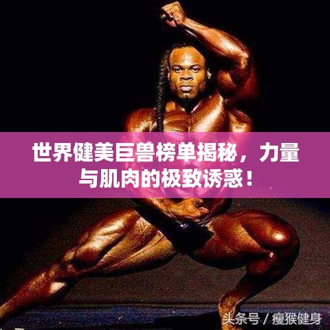 世界健美巨獸榜單揭秘，力量與肌肉的極致誘惑！