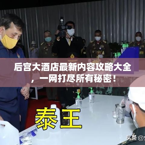 后宮大酒店最新內容攻略大全，一網(wǎng)打盡所有秘密！