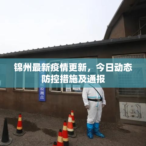 錦州最新疫情更新，今日動(dòng)態(tài)防控措施及通報(bào)