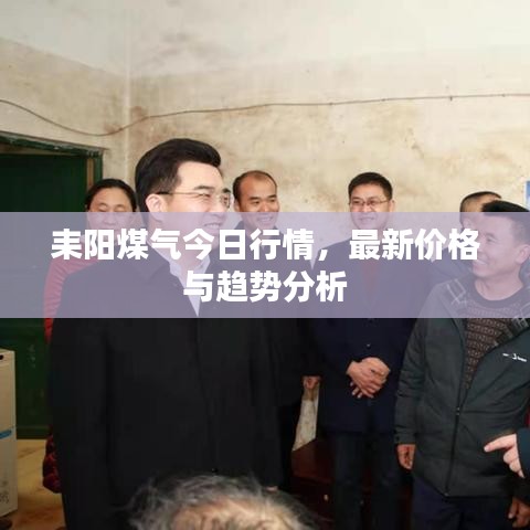 耒陽煤氣今日行情，最新價格與趨勢分析