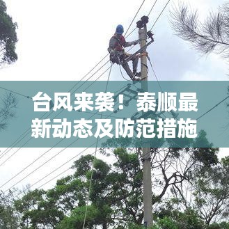 臺(tái)風(fēng)來(lái)襲！泰順最新動(dòng)態(tài)及防范措施全解析