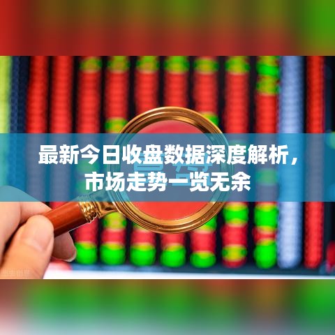 最新今日收盤數(shù)據(jù)深度解析，市場走勢一覽無余