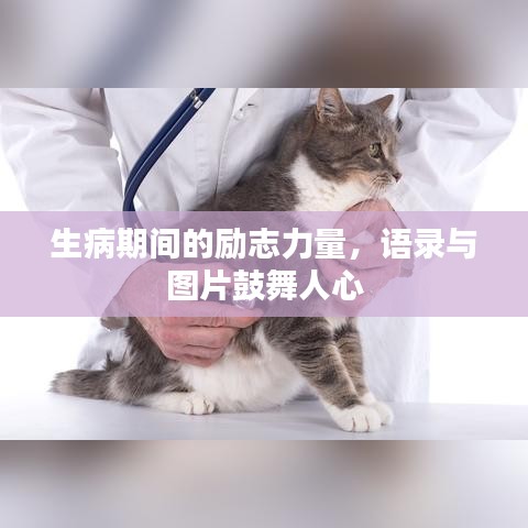 生病期間的勵志力量，語錄與圖片鼓舞人心