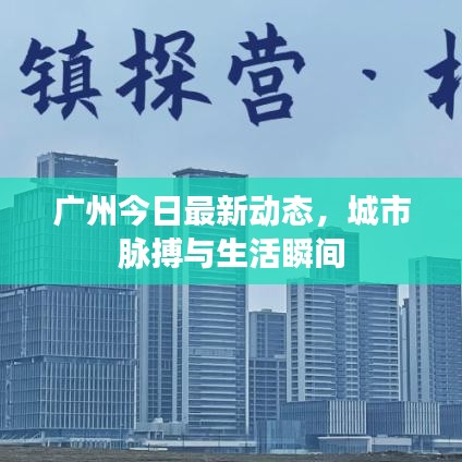 廣州今日最新動(dòng)態(tài)，城市脈搏與生活瞬間