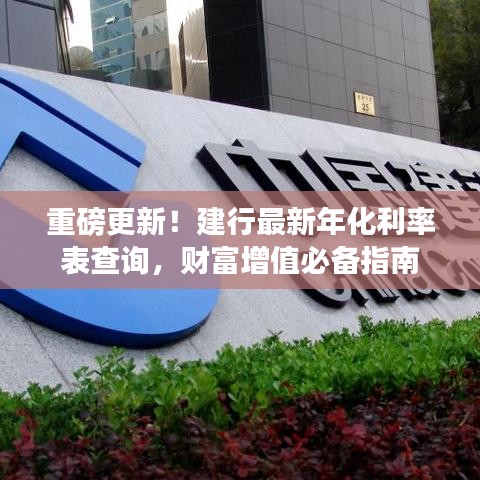 重磅更新！建行最新年化利率表查詢，財富增值必備指南