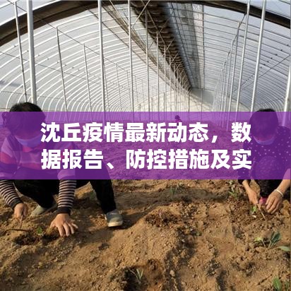 沈丘疫情最新動(dòng)態(tài)，數(shù)據(jù)報(bào)告、防控措施及實(shí)時(shí)更新