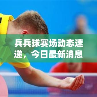 兵兵球賽場動態(tài)速遞，今日最新消息、熱點事件與未來展望