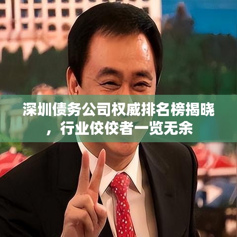 深圳債務(wù)公司權(quán)威排名榜揭曉，行業(yè)佼佼者一覽無余