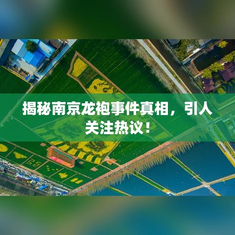 揭秘南京龍袍事件真相，引人關(guān)注熱議！