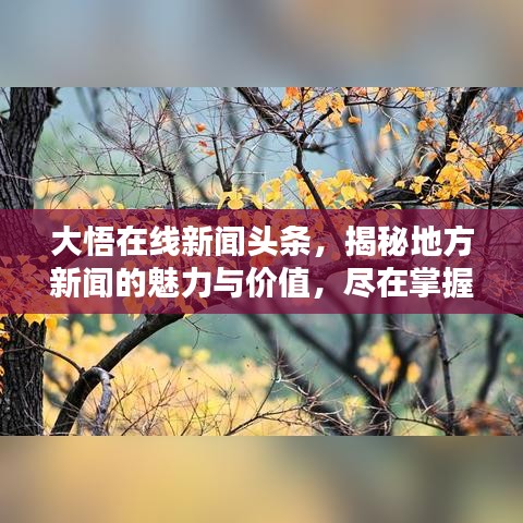 大悟在線(xiàn)新聞?lì)^條，揭秘地方新聞的魅力與價(jià)值，盡在掌握！