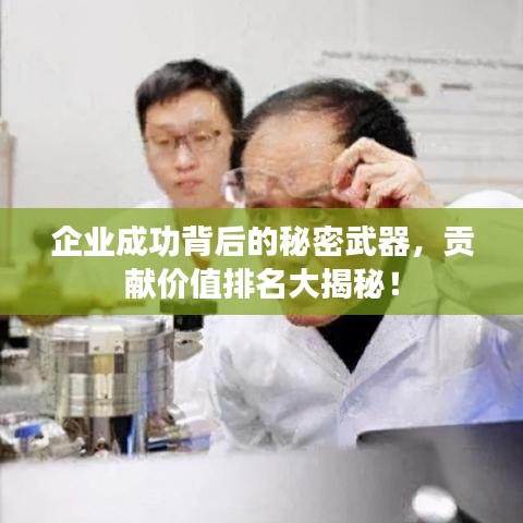 企業(yè)成功背后的秘密武器，貢獻(xiàn)價值排名大揭秘！