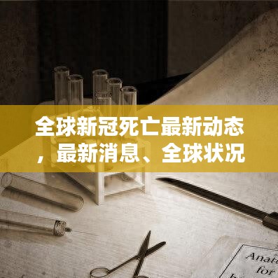 全球新冠死亡最新動態(tài)，最新消息、全球狀況及應(yīng)對策略揭秘
