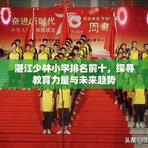湛江少林小學(xué)排名前十，探尋教育力量與未來趨勢