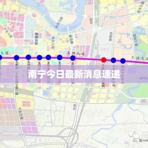 南寧今日最新消息速遞