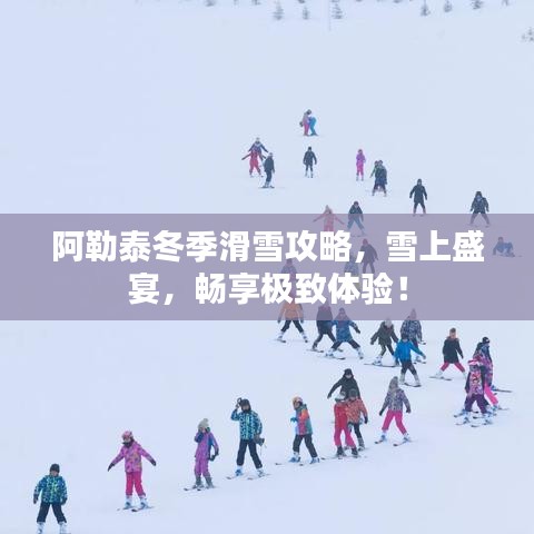 阿勒泰冬季滑雪攻略，雪上盛宴，暢享極致體驗(yàn)！