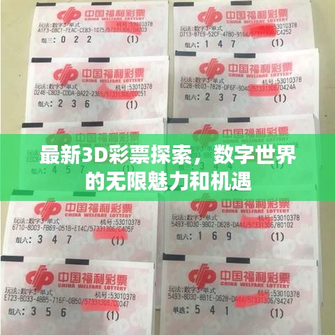 最新3D彩票探索，數(shù)字世界的無限魅力和機遇