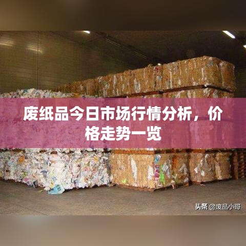 廢紙品今日市場行情分析，價格走勢一覽