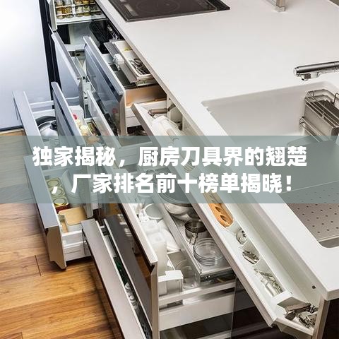 獨(dú)家揭秘，廚房刀具界的翹楚，廠家排名前十榜單揭曉！