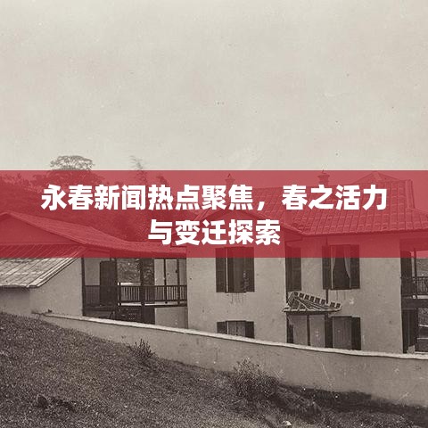 永春新聞熱點聚焦，春之活力與變遷探索