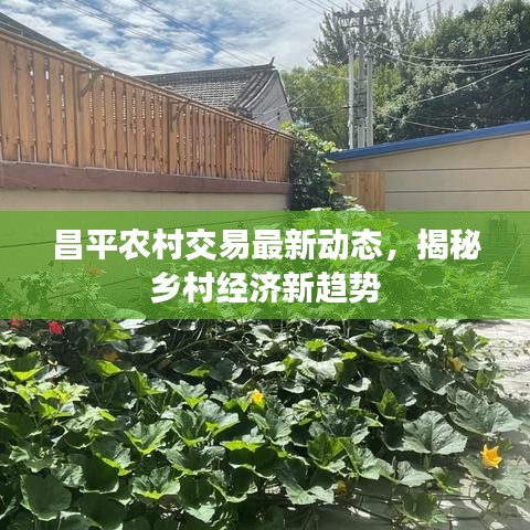 昌平農(nóng)村交易最新動(dòng)態(tài)，揭秘鄉(xiāng)村經(jīng)濟(jì)新趨勢