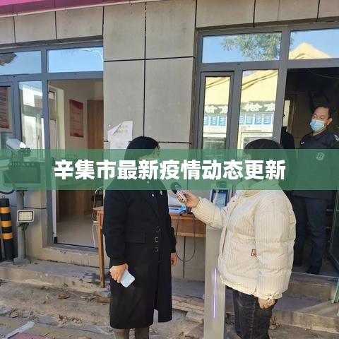 辛集市最新疫情動態(tài)更新