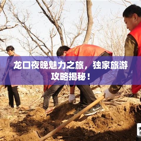 龍口夜晚魅力之旅，獨(dú)家旅游攻略揭秘！