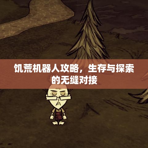 饑荒機(jī)器人攻略，生存與探索的無縫對接