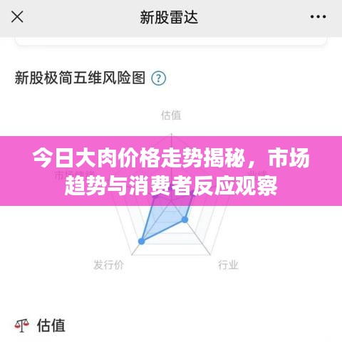 今日大肉價(jià)格走勢(shì)揭秘，市場(chǎng)趨勢(shì)與消費(fèi)者反應(yīng)觀察