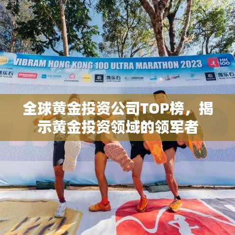 全球黃金投資公司TOP榜，揭示黃金投資領(lǐng)域的領(lǐng)軍者