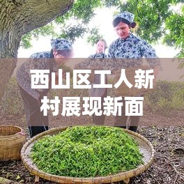 西山區(qū)工人新村展現(xiàn)新面貌，社區(qū)發(fā)展帶動幸福生活新篇章