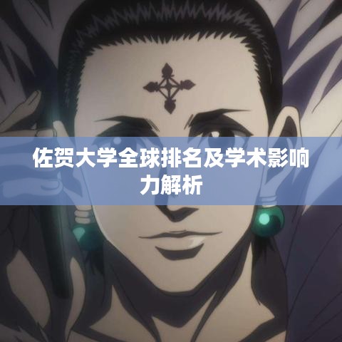 佐賀大學(xué)全球排名及學(xué)術(shù)影響力解析