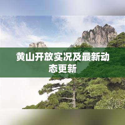 黃山開放實況及最新動態(tài)更新