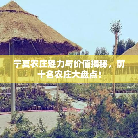 寧夏農(nóng)莊魅力與價(jià)值揭秘，前十名農(nóng)莊大盤點(diǎn)！