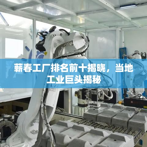 蘄春工廠排名前十揭曉，當(dāng)?shù)毓I(yè)巨頭揭秘