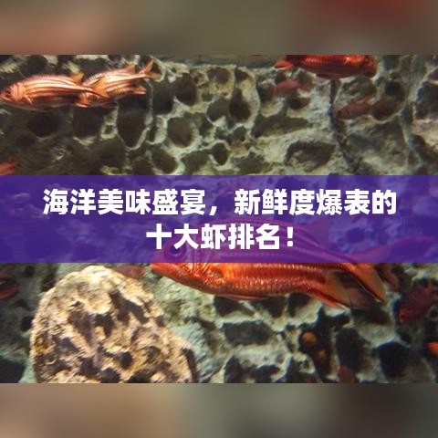 海洋美味盛宴，新鮮度爆表的十大蝦排名！