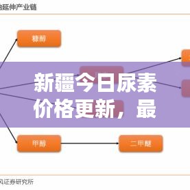 新疆今日尿素價格更新，最新消息今日行情分析