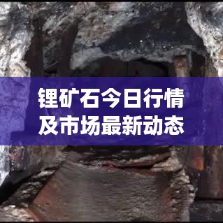 鋰礦石今日行情及市場(chǎng)最新動(dòng)態(tài)速遞