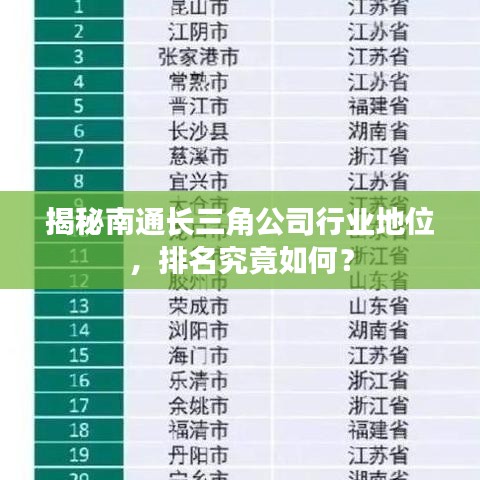揭秘南通長三角公司行業(yè)地位，排名究竟如何？