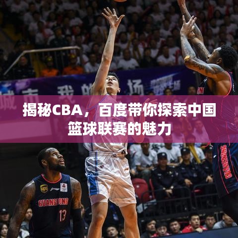 揭秘CBA，百度帶你探索中國(guó)籃球聯(lián)賽的魅力